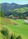 Blick vom Haus Richtung Kragenjoch